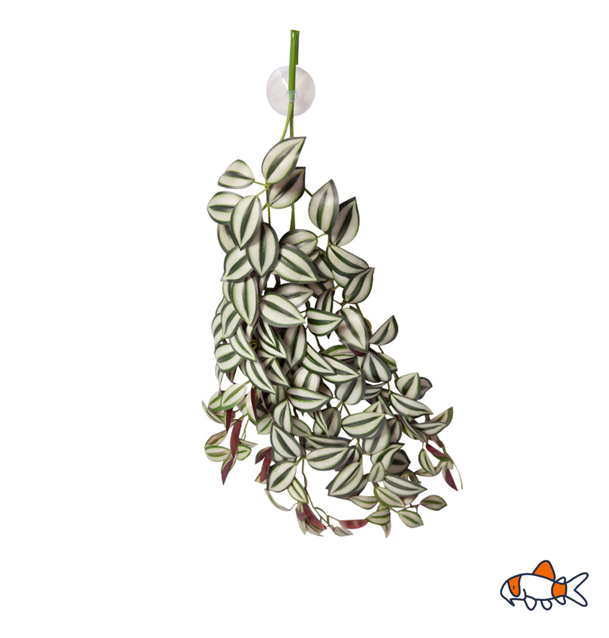Hanging Plant Tradescantia Green Silver