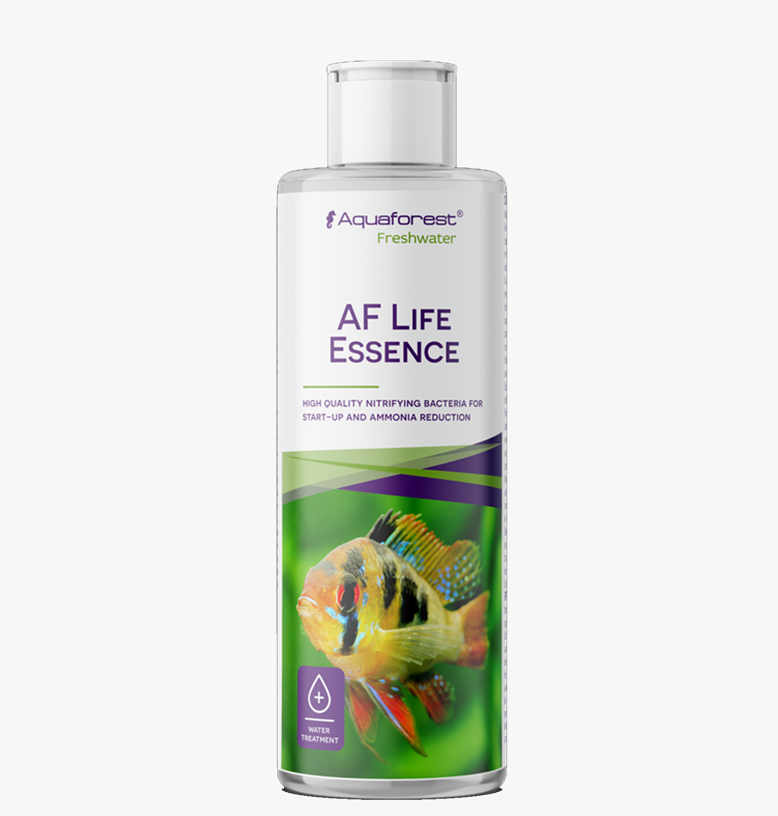 What is the Water Life Series | Club Eco Water