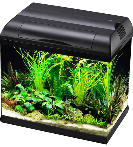 Aqua One EcoStyle 37 Rectangular Aquarium