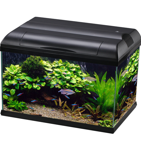 Aqua One EcoStyle 61 Rectangular Aquarium