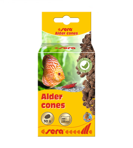 Alder Cones