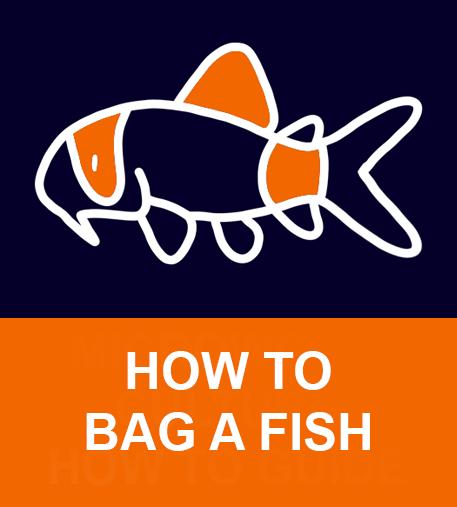 FREE Digital How to Guide - Bag a Fish