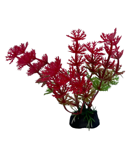 Faux Plant - Red Ambulia