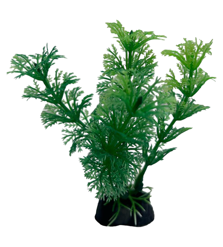 Faux Plant -Green Ambulia