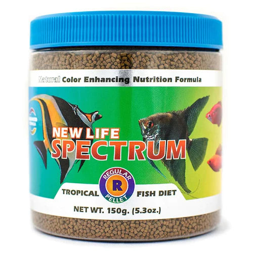 New Life Spectrum Tropical Fish Regular Bay Aquatics Tauranga
