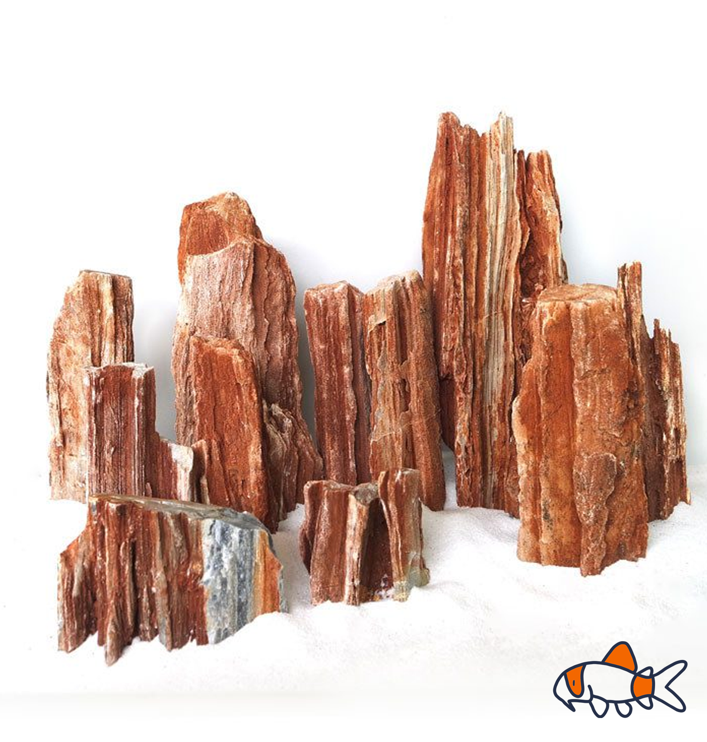 Petrified Wood Rock