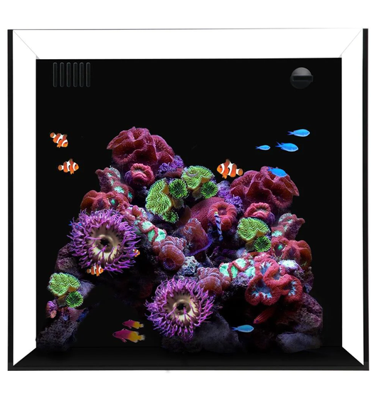 Waterbox CUBE 20 - Combo Package - Marine