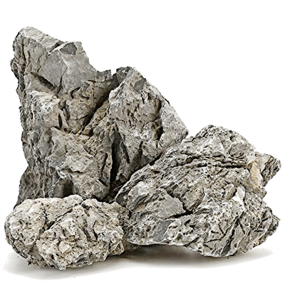 Turtle Vein Rock Per 100 Grams