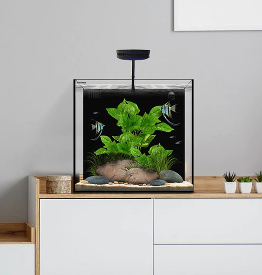 Aquarium Size Under 50L Bay Aquatics Tauranga New Zealand